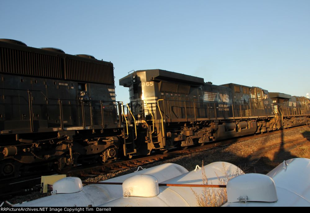 NS 4365 on NS 16R